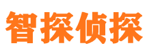 平罗市私家侦探